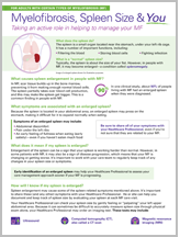Graphic of Myelofibrosis, Spleen Size & You document