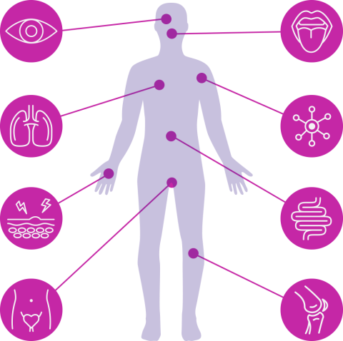 Full body diagram